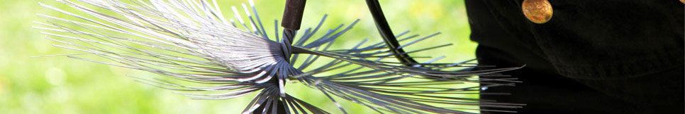 Banner - Frank Kirchhoff